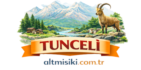 altmisiki.com.tr logo