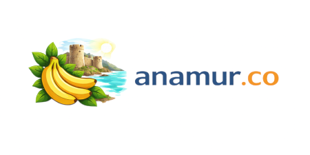 anamur.co logo