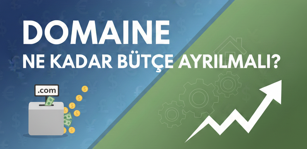 Domaine Ne Kadar Bütçe Ayrılmalı?